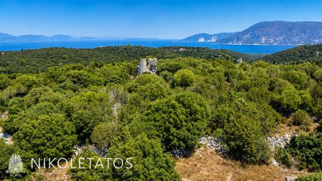 Αγροτεμάχια 4.005,63 τ.μ. πρός πώληση