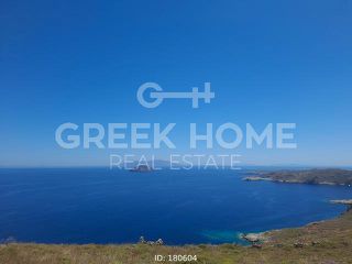 Αγροτεμάχια 4.193 τ.μ. για πώληση