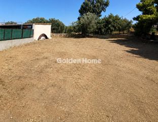 Land plot 1.250 sqm for rent