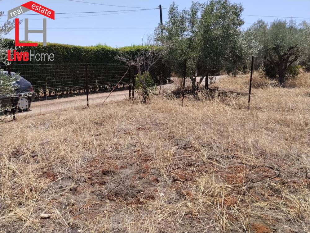 Οικόπεδο 501 τ.μ. πρός πώληση, Κορινθία, Βέλο