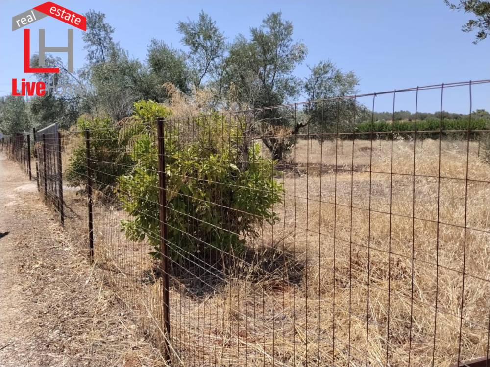 Οικόπεδο 501 τ.μ. πρός πώληση, Κορινθία, Βέλο