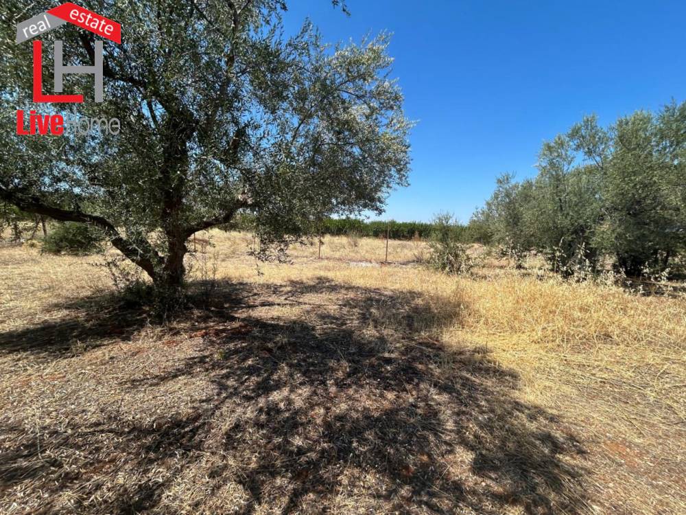 Οικόπεδο 501 τ.μ. πρός πώληση, Κορινθία, Βέλο