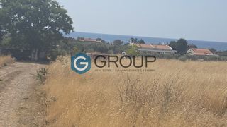 Αγροτεμάχια 4.001 τ.μ. για πώληση