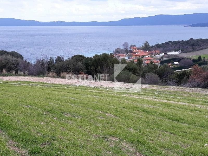 Αγροτεμάχια 10.715 τ.μ. προς πώληση, Ιερισσός