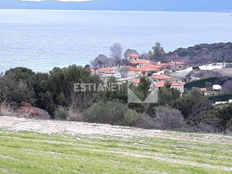Αγροτεμάχια 10.715 τ.μ. προς πώληση, Ιερισσός