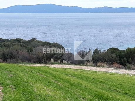Αγροτεμάχια 10.715 τ.μ. προς πώληση