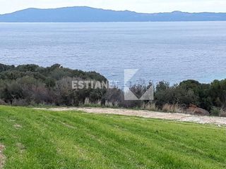 Αγροτεμάχια 10.715 τ.μ. για πώληση