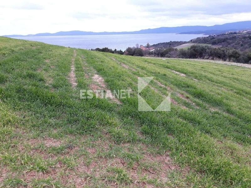 Αγροτεμάχια 10.715 τ.μ. προς πώληση, Ιερισσός