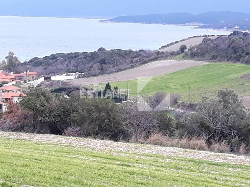 Αγροτεμάχια 10.715 τ.μ. προς πώληση, Ιερισσός