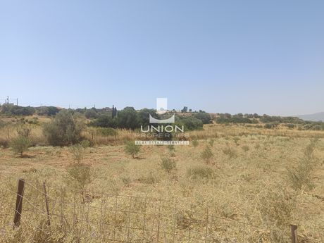Οικόπεδο 8.173 τ.μ. πρός πώληση