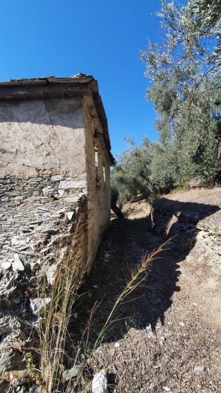 Αγροτεμάχια 14.700 τ.μ. πρός πώληση, Μαγνησία, Μηλιές
