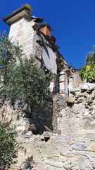 Αγροτεμάχια 14.700 τ.μ. για πώληση