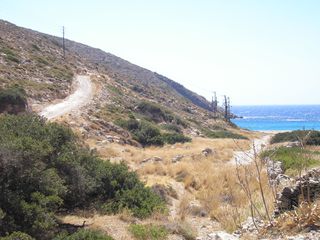 Αγροτεμάχια 7.000 τ.μ. για πώληση