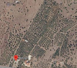 Αγροτεμάχια 53.000 τ.μ. για πώληση, Αργολίδα, Ερμιόνη-thumb-1