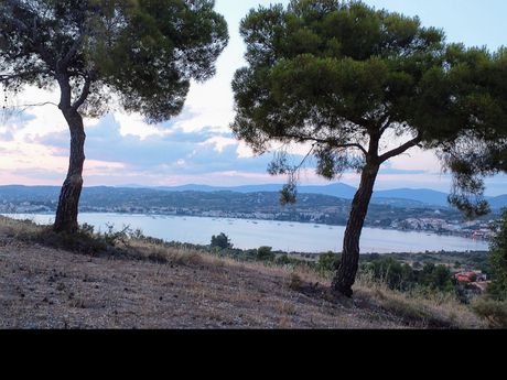 Αγροτεμάχια 38.000 τ.μ. πρός πώληση