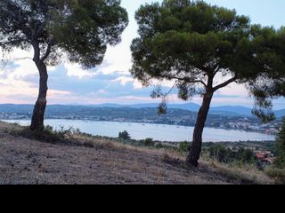 Αγροτεμάχια 38.000 τ.μ. για πώληση