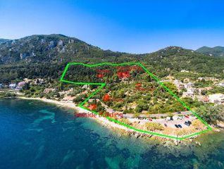 Αγροτεμάχια 73.000 τ.μ. για πώληση, Ν. Κέρκυρας, Κέρκυρα-thumb-3