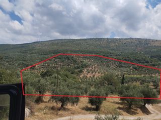 Αγροτεμάχια 100.000 τ.μ. για πώληση