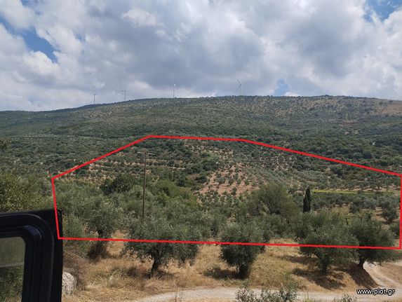 Αγροτεμάχια 100.000 τ.μ. για πώληση, Μεσσηνία, Νέστορας