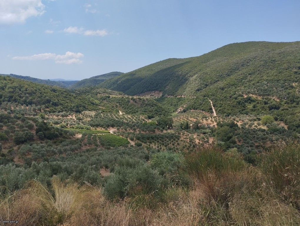 Αγροτεμάχια 100.000 τ.μ. πρός πώληση, Μεσσηνία, Νέστορας