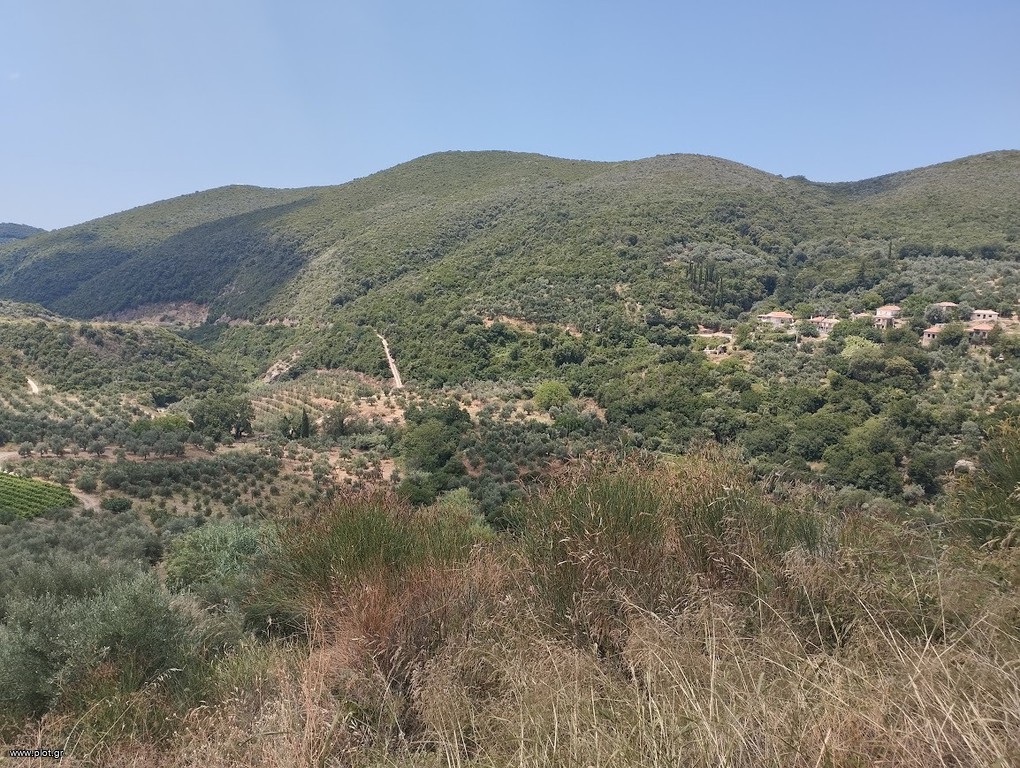 Αγροτεμάχια 100.000 τ.μ. πρός πώληση, Μεσσηνία, Νέστορας