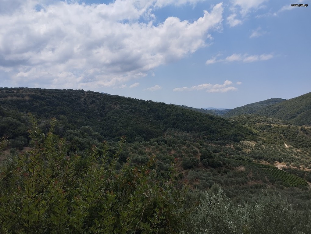 Αγροτεμάχια 100.000 τ.μ. πρός πώληση, Μεσσηνία, Νέστορας