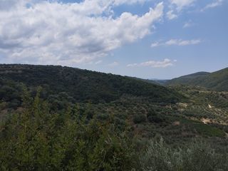 Αγροτεμάχια 100.000 τ.μ. για πώληση, Μεσσηνία, Νέστορας-thumb-3