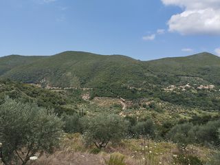 Αγροτεμάχια 100.000 τ.μ. για πώληση, Μεσσηνία, Νέστορας-thumb-13