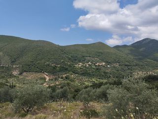Αγροτεμάχια 100.000 τ.μ. για πώληση, Μεσσηνία, Νέστορας-thumb-16