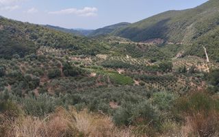 Αγροτεμάχια 100.000 τ.μ. για πώληση, Μεσσηνία, Νέστορας-thumb-19