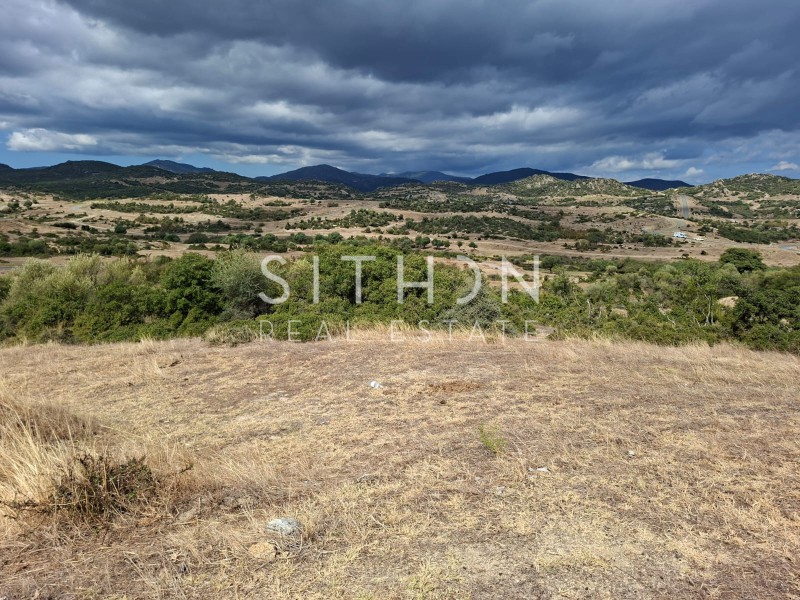 Οικόπεδο 500 τ.μ. προς πώληση, Σκάλα Συκέας