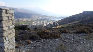 Αγροτεμάχια 5.100 τ.μ. για πώληση