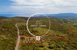 Οικόπεδο 10.351 τ.μ. για πώληση