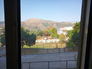 Studio / γκαρσονιέρα 65 τ.μ. για πώληση, Θεσπρωτία, Παραμυθιά-thumb-9