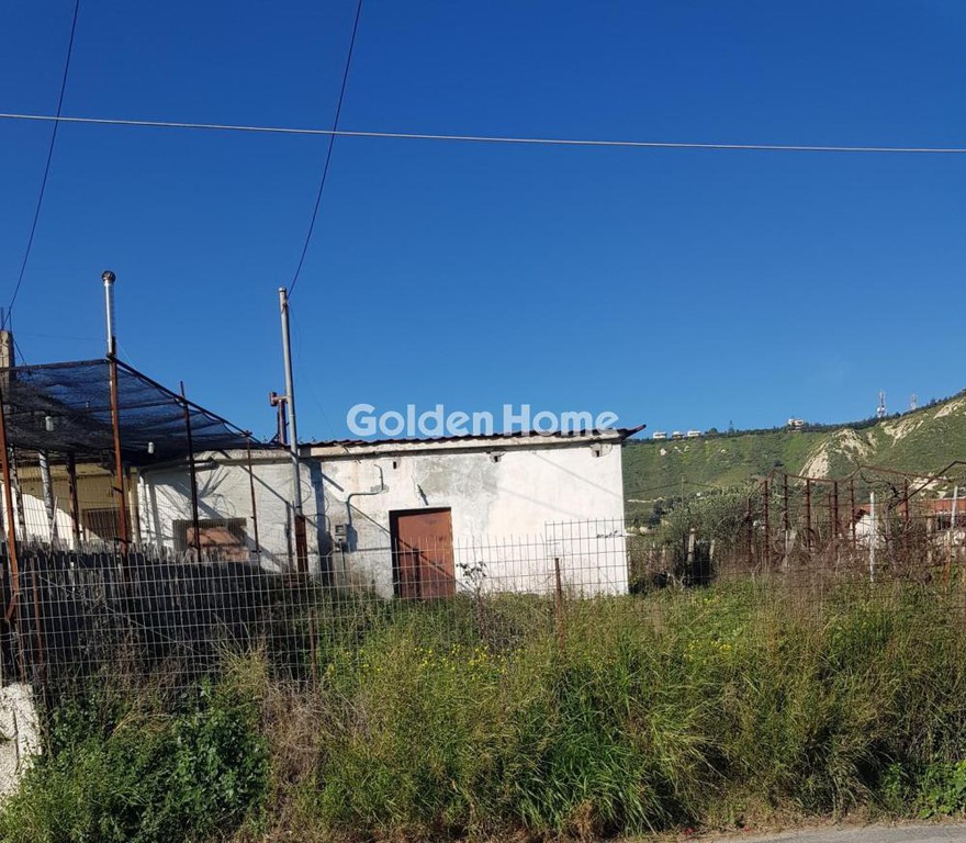 Αγροτεμάχια 1.167 τ.μ. προς ενοικίαση, Ν. Ηρακλείου, Ηράκλειο Κρήτης