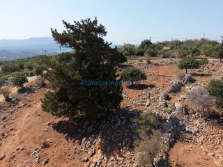 Οικόπεδο 2.003 τ.μ. προς πώληση, Καμπιά Βάμου-thumb-9