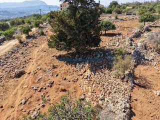 Οικόπεδο 2.003 τ.μ. προς πώληση, Καμπιά Βάμου-thumb-6
