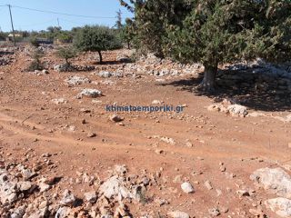 Οικόπεδο 2.003 τ.μ. προς πώληση, Καμπιά Βάμου-thumb-11