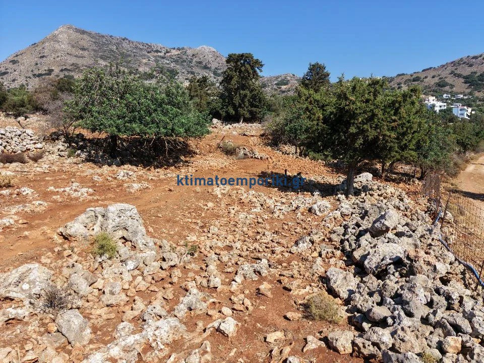 Οικόπεδο 2.003 τ.μ. προς πώληση, Καμπιά Βάμου