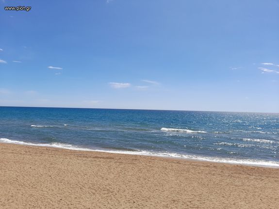 Οικόπεδο 8.326 τ.μ. για πώληση, Ν. Ηλείας, Αμαλιάδα