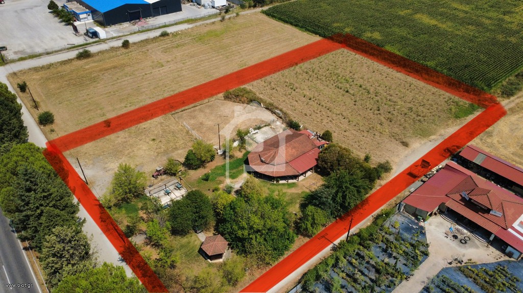Κατάστημα 7.200 τ.μ. πρός πώληση, Ν. Τρικάλων, Βασιλική