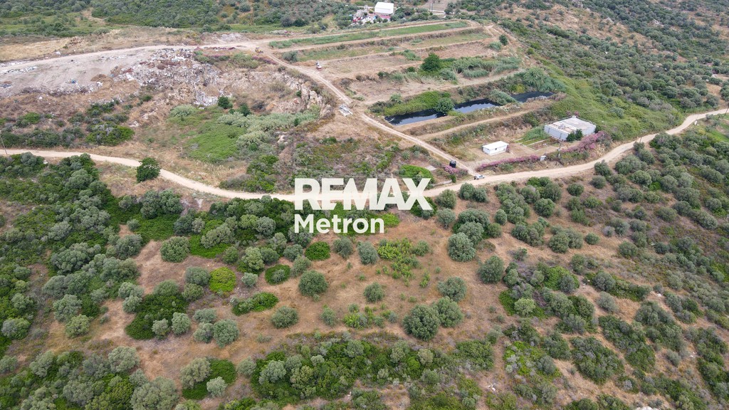 Αγροτεμάχια 980 τ.μ. πρός πώληση, Χαλκιδική, Σταγείρων - Ακάνθου