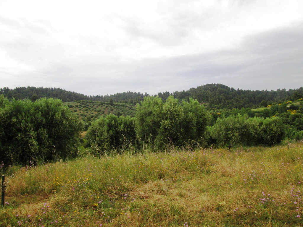 Οικόπεδο 480 τ.μ. προς πώληση, Παρθενώνας