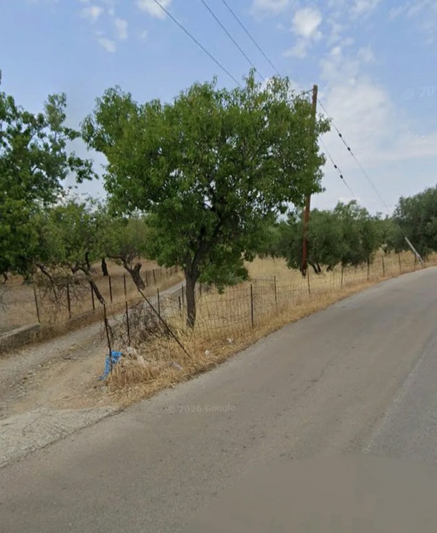 Οικόπεδο 10.032 τ.μ. προς πώληση, Άγιοι Ασώματοι Ερέτριας
