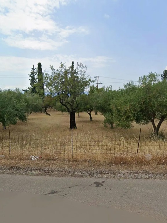 Οικόπεδο 10.032 τ.μ. προς πώληση, Άγιοι Ασώματοι Ερέτριας