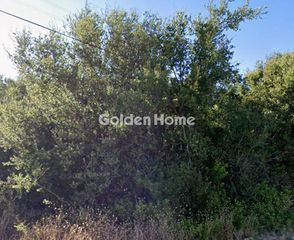 Αγροτεμάχια 7.500 τ.μ. για πώληση, Ζάκυνθος, Ελάτιο-thumb-3