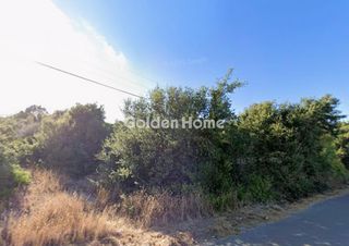 Αγροτεμάχια 7.500 τ.μ. για πώληση, Ζάκυνθος, Ελάτιο-thumb-2