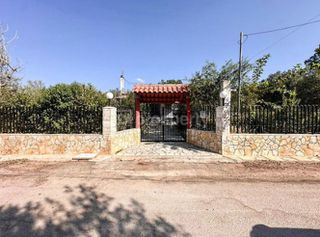 Μονοκατοικία 100 τ.μ. για πώληση