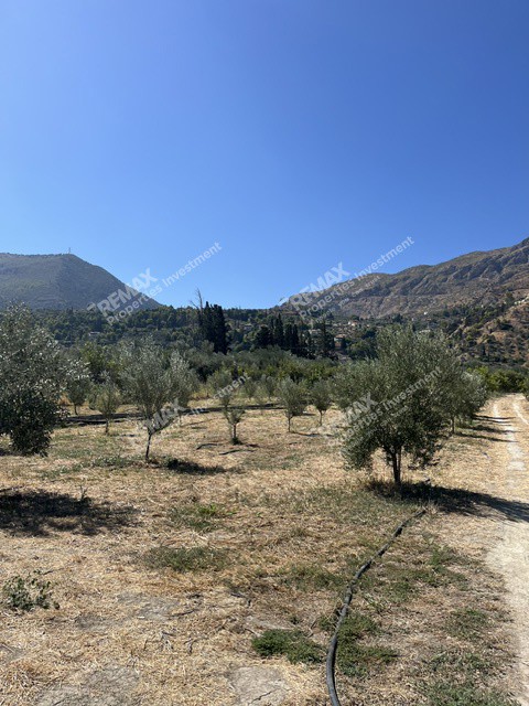 Οικόπεδο 10.350 τ.μ. προς πώληση, Κάτω Λουτρό