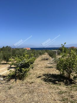 Land plot 10.350 sqm for sale